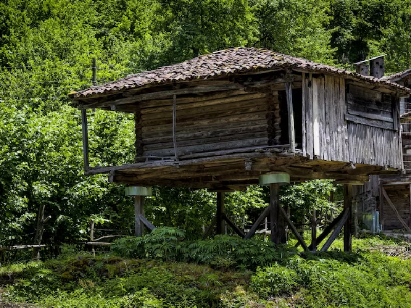 Passez Une Nuit Inoubliable En Amoureux Dans Une Cabane Perch E