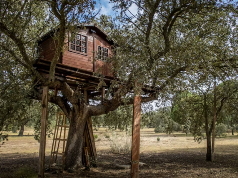 Passez Une Nuit Inoubliable En Amoureux Dans Une Cabane Perch E