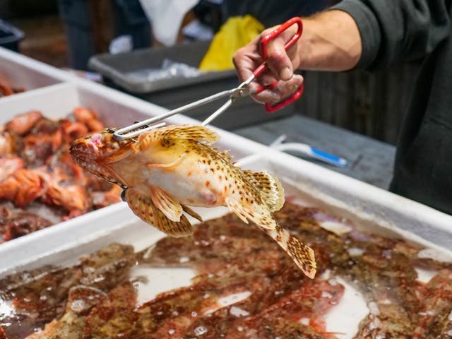 fruits de mer